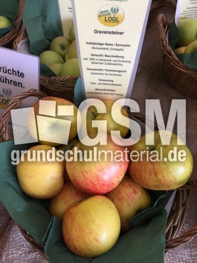 Gravensteiner.jpg